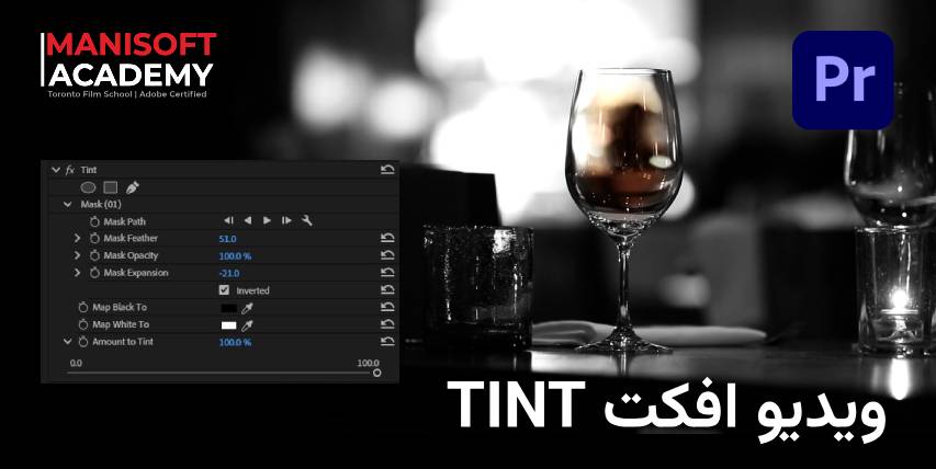 افکت Tint در پریمیر پرو (Premiere Pro) - راهنمای کامل و کاربردی افکت Tint در پریمیر پرو (Premiere Pro) - راهنمای کامل و کاربردی