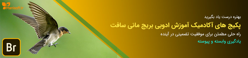 پکیج های آموزشی فارسی نرم افزار ادوبی بریج برای عکاس ها و طراح ها توسط مانی سافت پکیج های آموزشی فارسی نرم افزار ادوبی بریج برای عکاس ها و طراح ها توسط مانی سافت